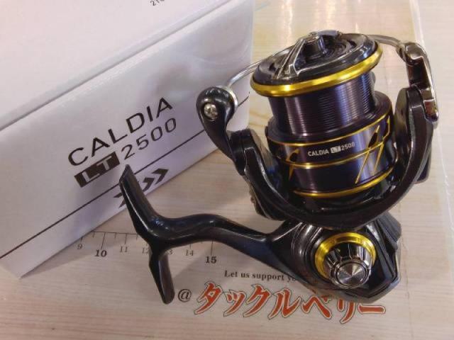 21カルディア LT2500