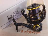 21カルディア LT2500