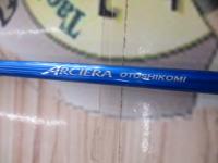 アルシエラ落し込み M245