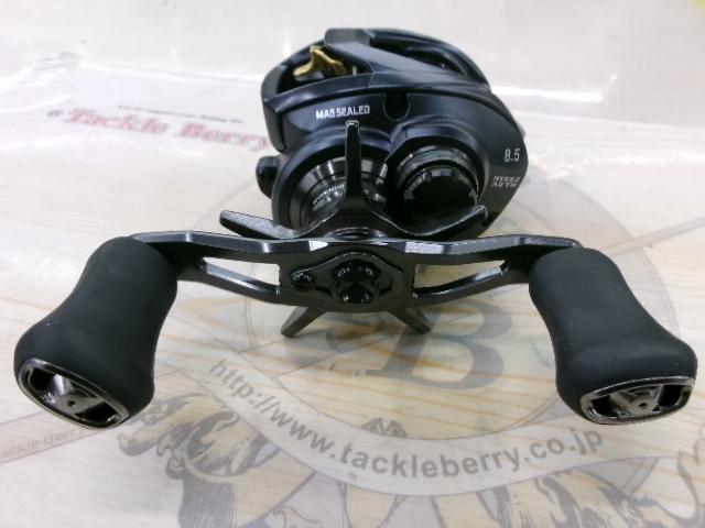 スティーズ AⅡ TW 1000XHL