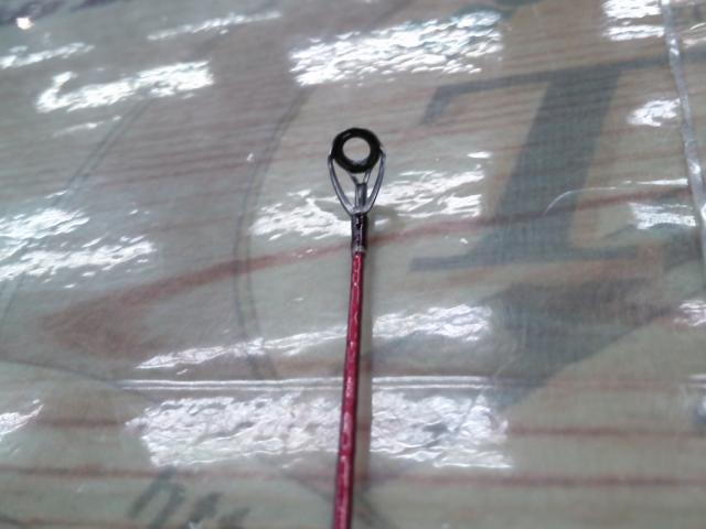 19ワールドシャウラ テクニカルエディション S62L-2/MD