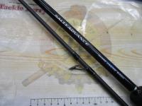 19ソルティーアドバンスショアジギング 100H