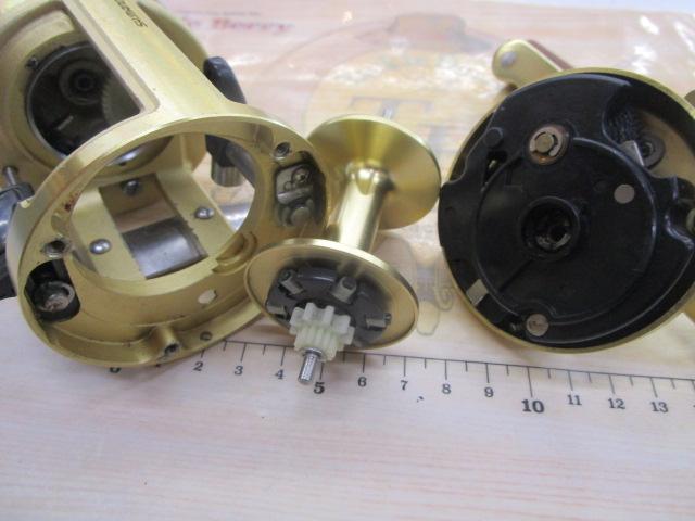 06カルカッタイソ 400