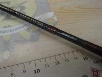 キャタリナ 66B-BJ