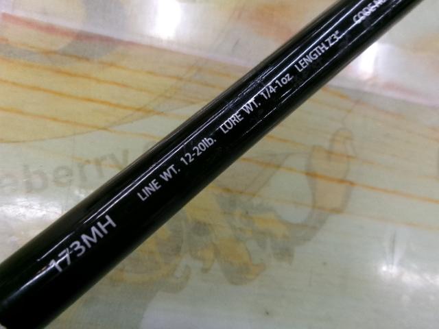 ポイズングロリアス 173MH BIWAKO VERSATILE X｜＠ベリーネット 日本