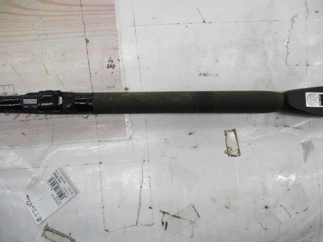 サクラフネザオ