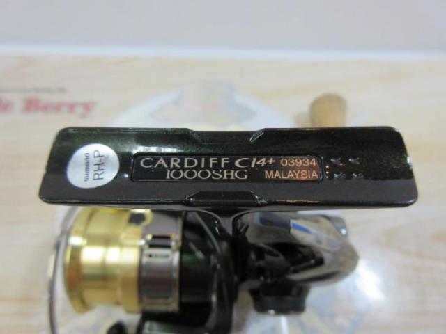 18カーディフCI4+ 1000SHG