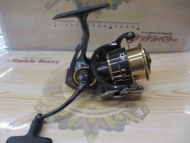 17セオリー 2508PE