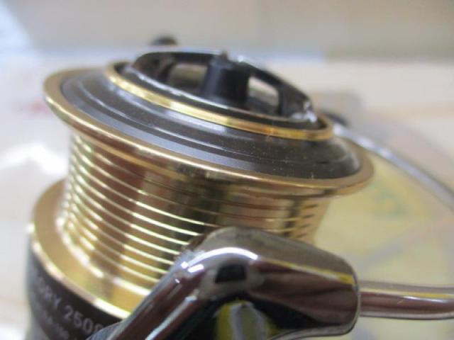 17セオリー 2508PE