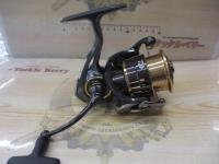 17セオリー 2508PE