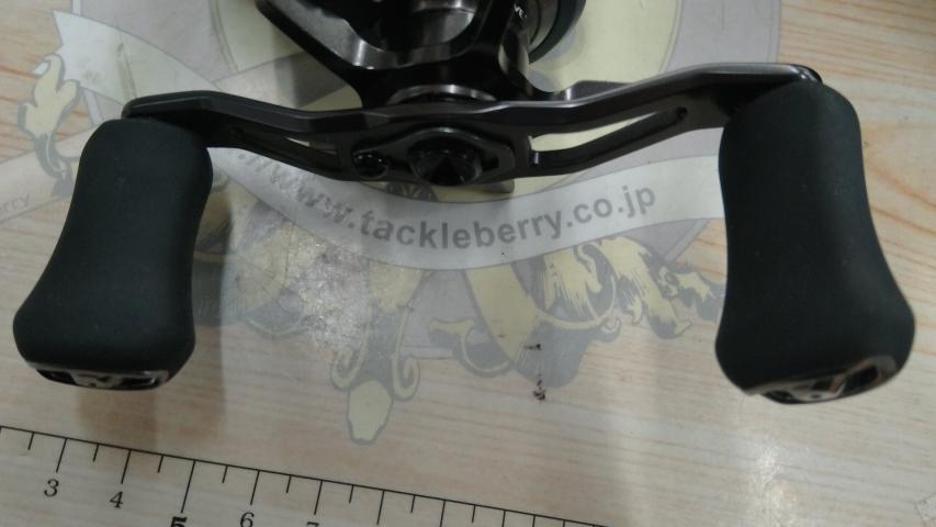 スティーズ AⅡ TW 1000H