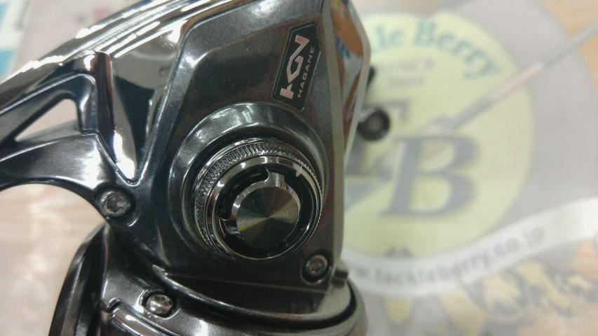 16ストラディックCI4+ C3000HG