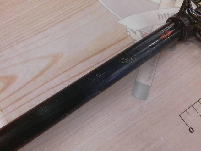 鯉スペシャル520アラミカ