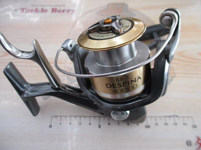 06BB-Xデスピナ 4000D