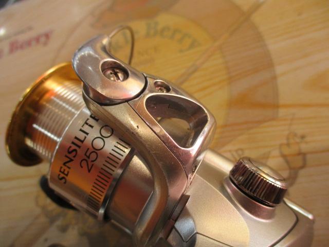 センシライトMg 2500