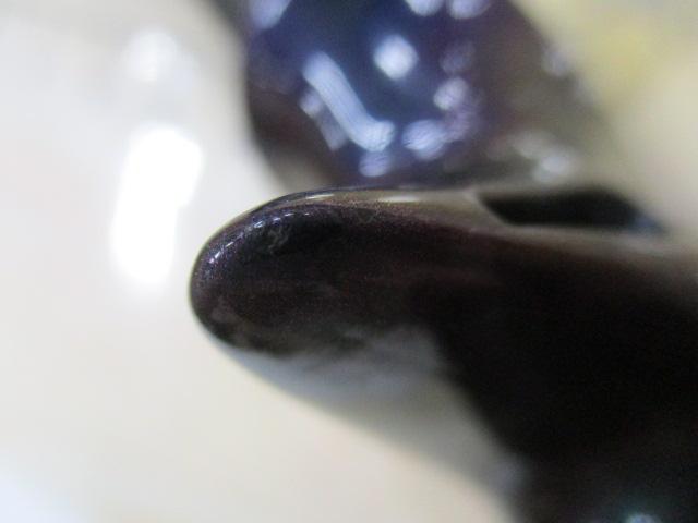 ソルティーステージKR-XスーパーライトジギングFSスペシャル SSSC-61SLJ-FS-KR