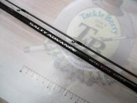 19ソルティーアドバンスメタルスッテ B66MS