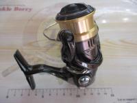 18カーディフCI4+ 1000SHG