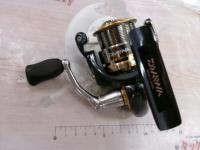 10セルテート 2506