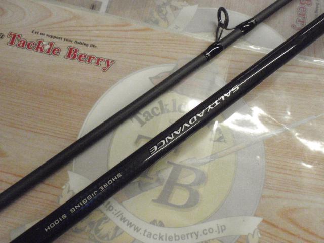 19ソルティーアドバンスショアジギング 100H