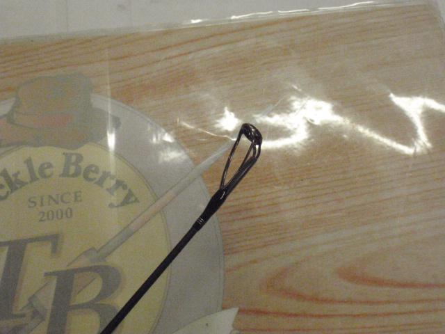 19ソルティーアドバンスショアジギング 100H