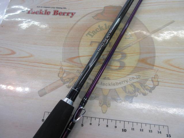 ブルーアクション 8.6