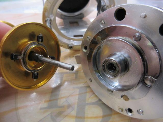 シーファイア 300