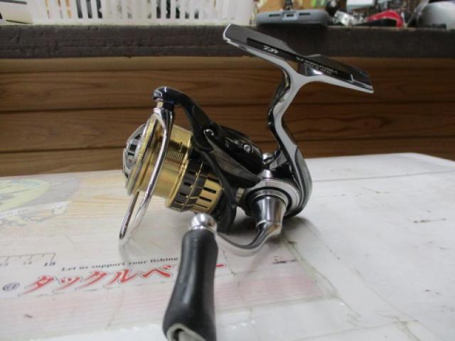 SLPWイグジストセミオーダーカスタムFC2500C