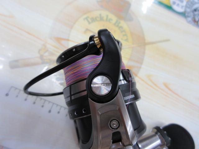 ロキサーニSP 3000MSH