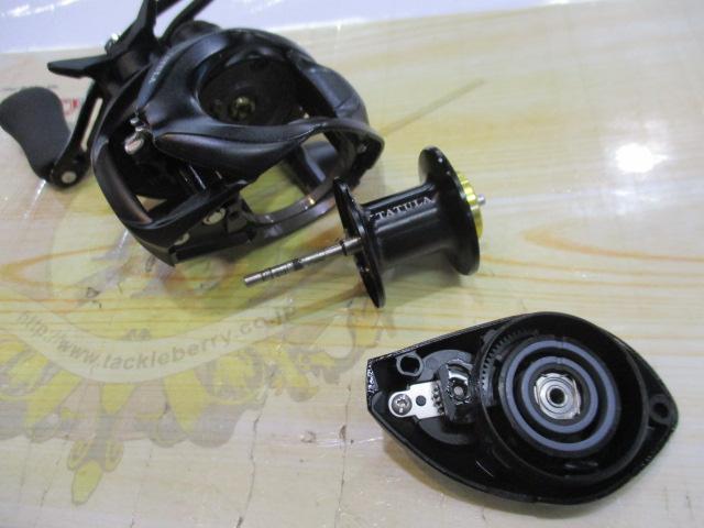 24タトゥーラ TW 100XH