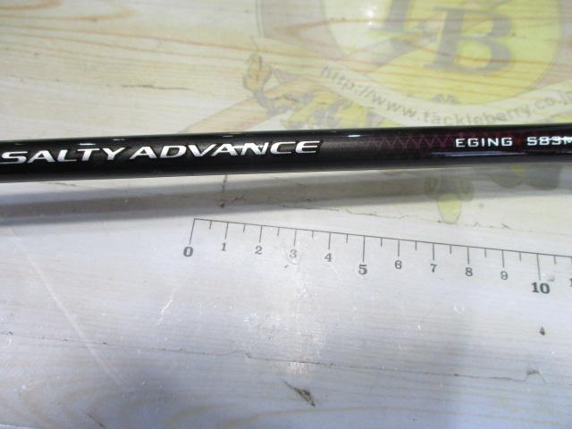 19ソルティーアドバンスエギング 83M