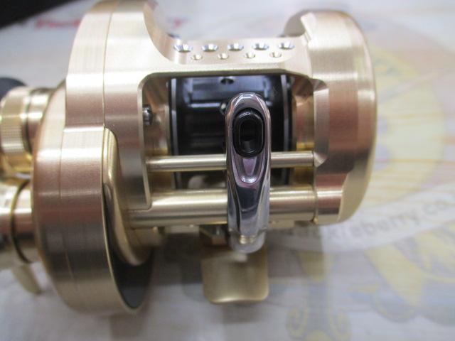 15カルカッタコンクエスト 100HG 