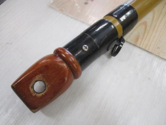 インストラクター鯉スペシャルアラミカ 520