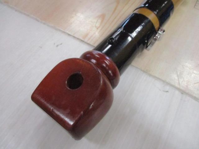 インストラクター鯉スペシャルアラミカ 520