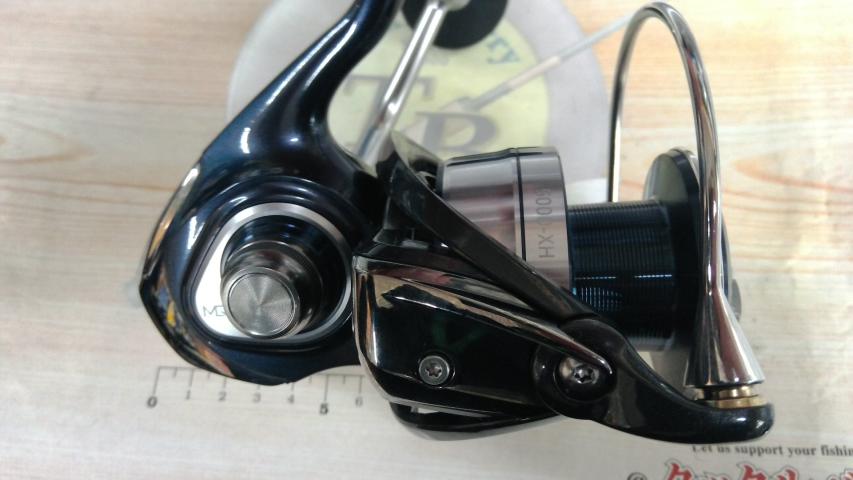 21セルテートSW 5000-XH