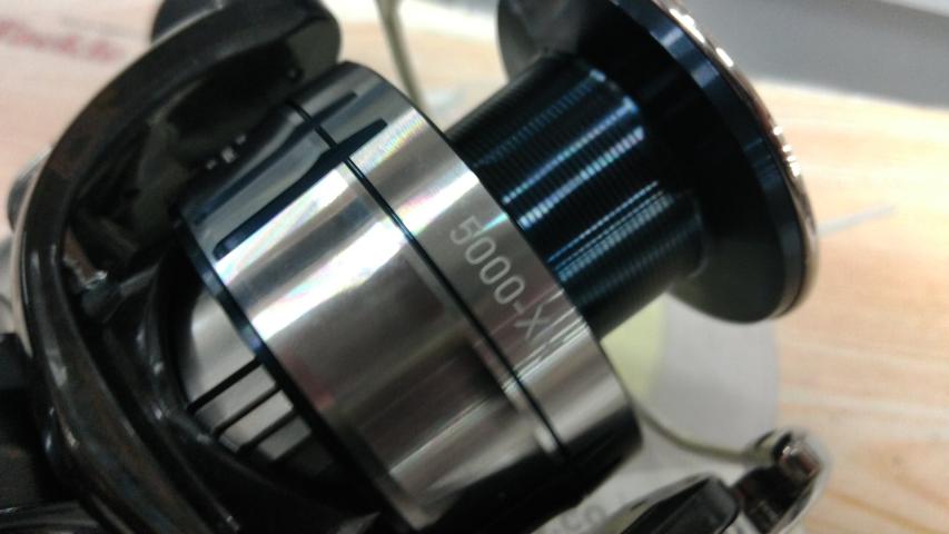 21セルテートSW 5000-XH