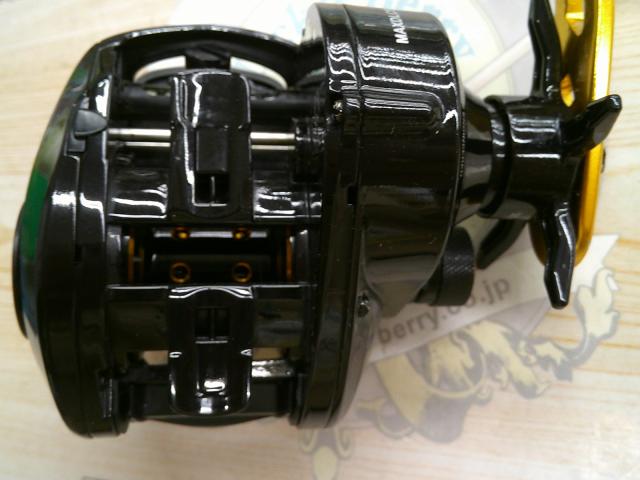 マックスDLC BG-L