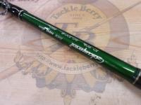 ゴクスペシャル10-30lb 250cm