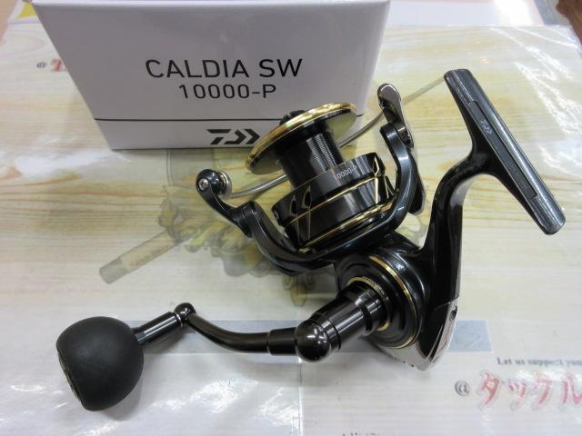 22カルディアSW 10000-P