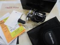 26スティーズ SV ライト TW 100XXH