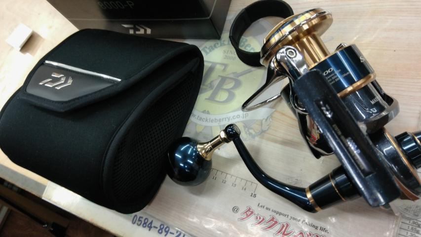 20ソルティガ 8000-P