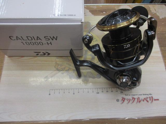 22カルディアSW 10000-H