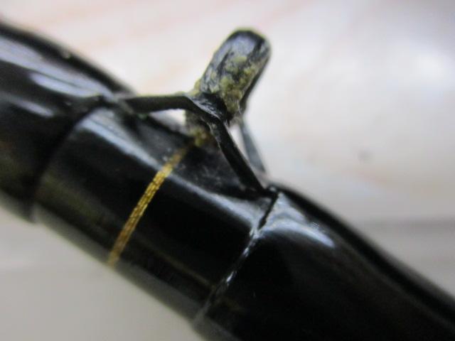 小笠原 MH504｜＠ベリーネット 日本最大新品中古釣具WEBショップ