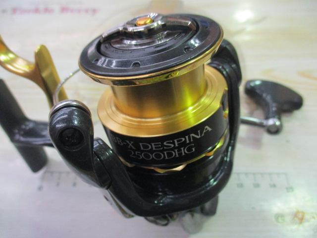 11BB-Xデスピナ 2500DHG