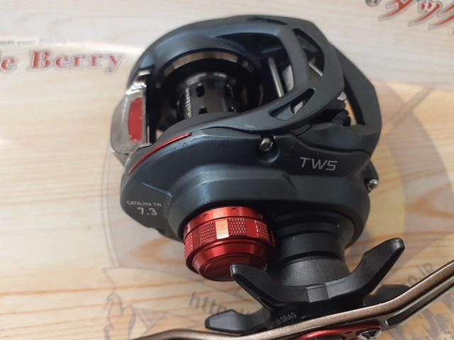 キャタリナ TW 100SH