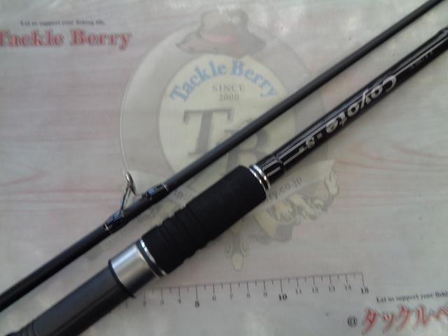 ラグゼコヨーテS S100H