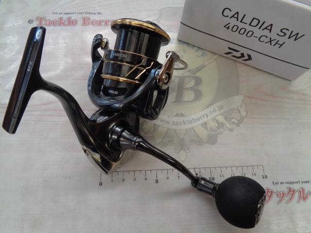 22カルディアSW 4000-CXH