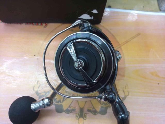 24セルテートSW 5000-XH