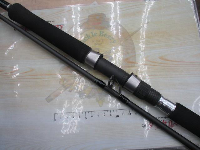 19ソルティーアドバンスショアジギング 100MH