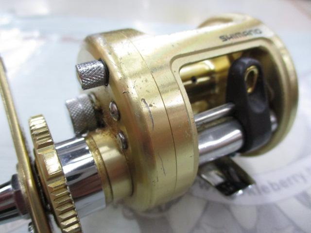 カルカッタチヌ 1000